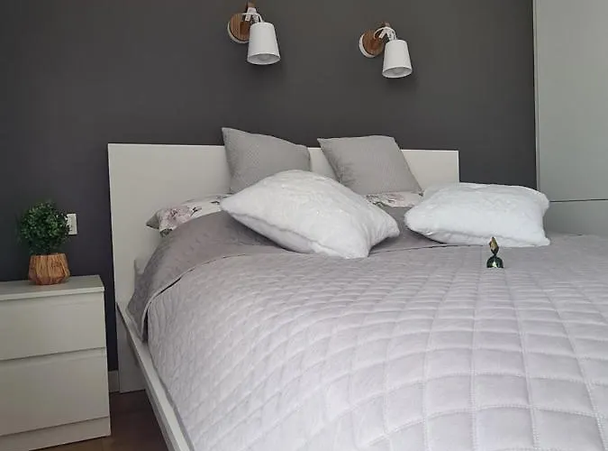 Posnania Comfort Apartment, Free Parking, Self Check-in 24h Lejlighed Poznań