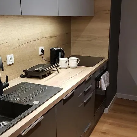 Apartment Posnania Comfort Apartment, Free Parking, Self Check-in 24h