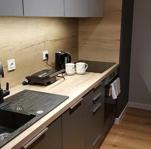 Apartamento Posnania Comfort Apartment, Free Parking, Self Check-in 24h